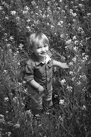 The Solov Family Sacramento CA 2013